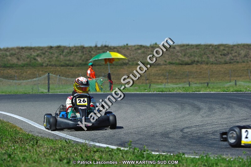 DSC_ (1556).jpg